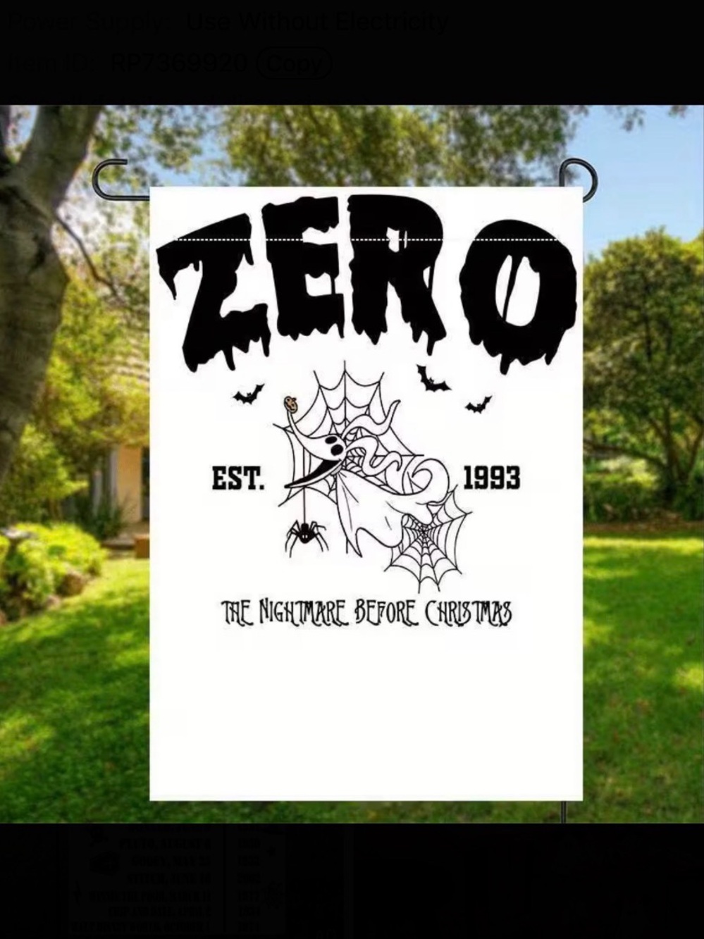 Zero Flag